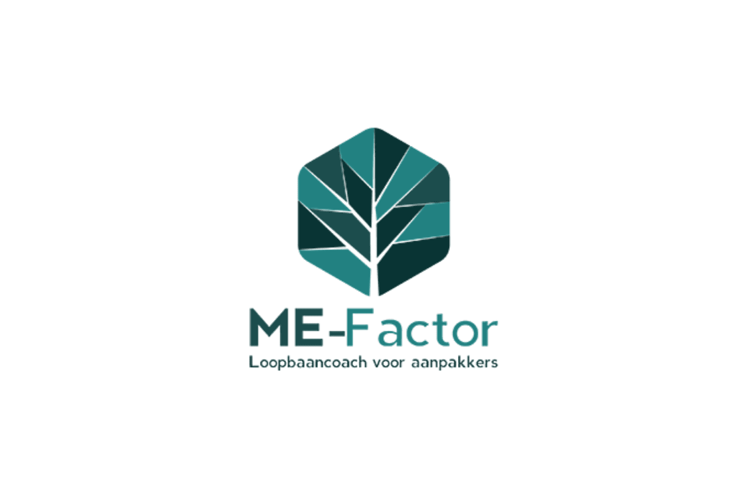Logo ME-Factor
